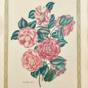 Meet your Posher, Neve